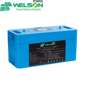 100AH 24 Volt Lifepo4 Lithium Iron Phosphate Battery Lifespan Long Rv Charge