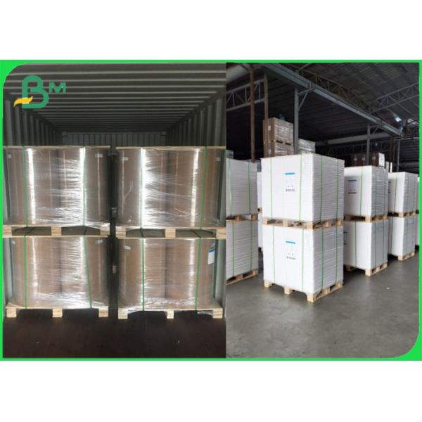 Single Coated 40gsm PE 10gsm Bleached Sugar Sachet Paper Packaging Single Coated 40gsm PE 10gsm Bleached Sugar Sachet Paper Packaging