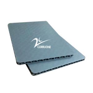 Fire Retardant PP Honeycomb Sheet for Heat Resistant Applications