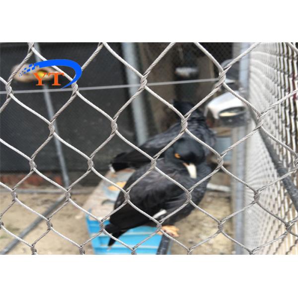 Stainless Steel Aviary Mesh 40x40mm