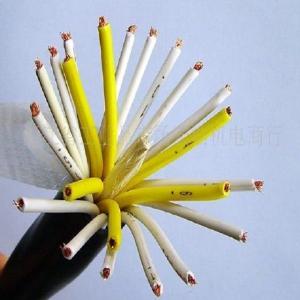 Round Elevator and Escalator Control Cable RVV 20x0.5 PVC insulation PVC sheath