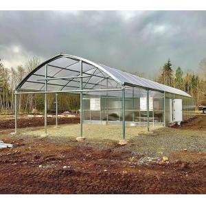 Customized Snow Vibrator Greenhouse for Tomato Planting Single or Multi Span