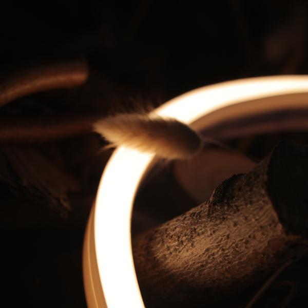 Quality Horizontal Bending 3000K Flexible Neon Strip Lumileds 2 Step MacAdam LED CRI90 wholesale