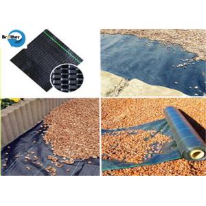 Weedmat /Weed Control Fabric /PP Woven Ground Cover /Ground Cover Fabric with UV