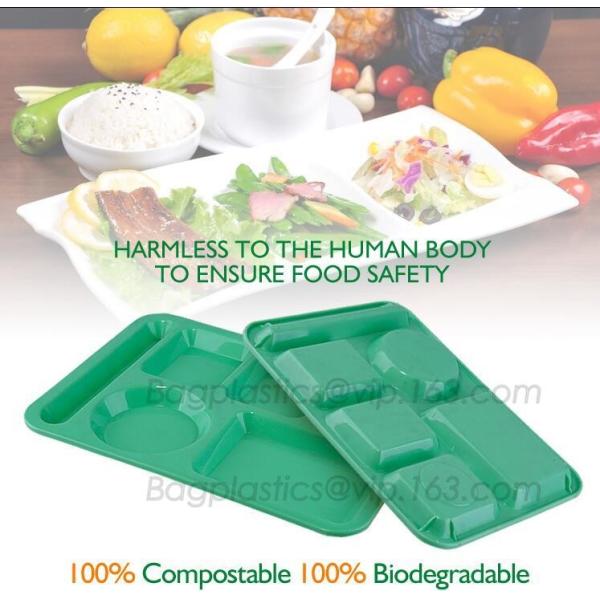 fast food boxes custom logo printing, Compostable plastic food container, eco