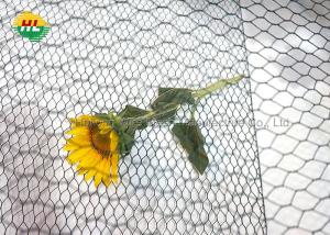 Cheap 13mm Mesh Opening Hexagonal Wire Netting , 20 GA Galvanized Chicken Mesh for sale