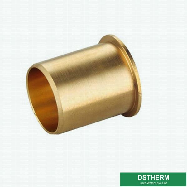 Coupling Screw PE Fittings Brass PE Compression Fittings Pex Fittings For Pex