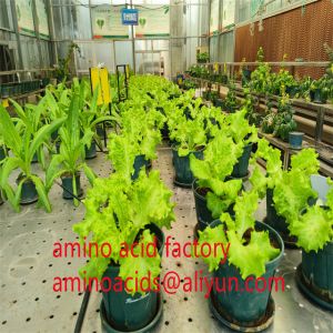 Chelated Micronutrients Fertilizers Formulated To Prevent Nutrient Fixation And