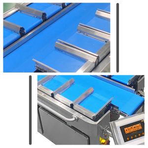 Frozen Dried Durian Dried Mangoes Fruit Multihead Weigher Combination Equipment