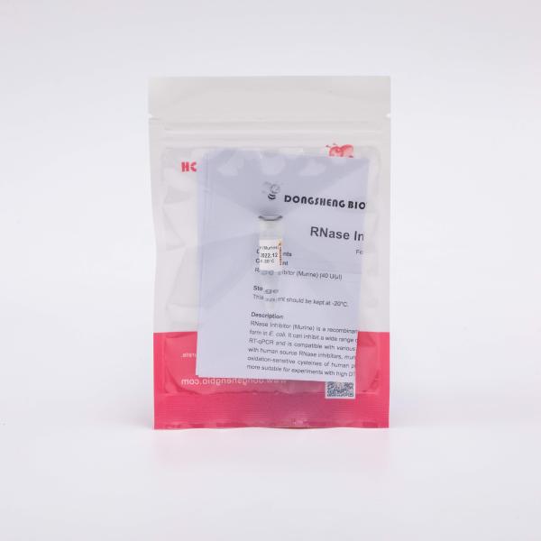 20000U RNase Inhibitor Murine R4001 Colourless Appearance