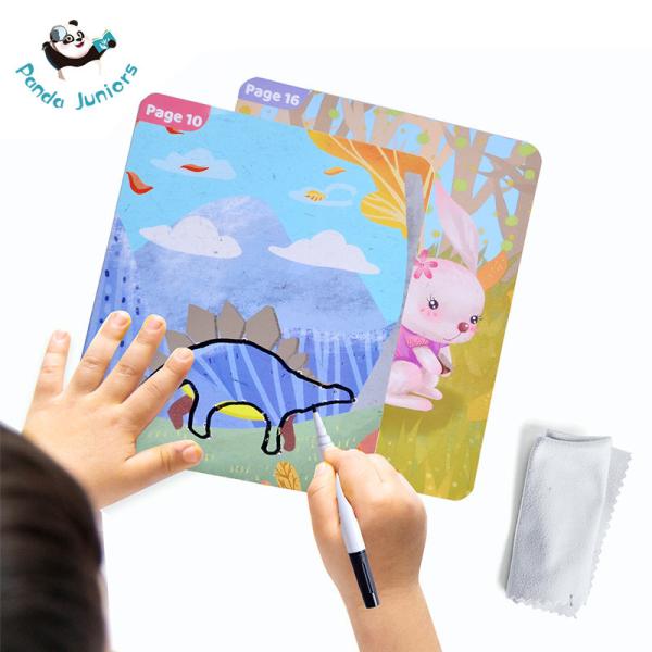 Quality Wipe Clean Early Learning Cards 6 Themed Double Sided Printing Memory Trainning wholesale