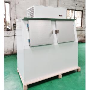 60 Cubic Feet Bagged Ice Merchandiser 1315L Outdoor For Gas Station