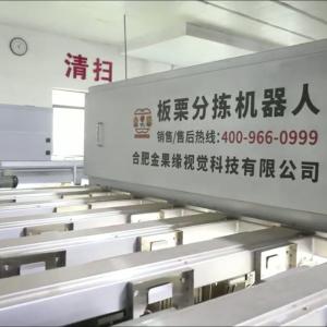 Cheap Labor Saving AI Powered Chestnut Sorting Machine: Smart Assistance, Cost Reduction, Efficiency Boost for sale