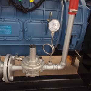 Hydrogen Power Electricity Generator with IP23 Protection Class and 180A Rated