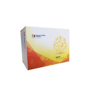 High Precision Human Deoxypyridinoline Crosslinks DPD ELISA Kit 96 Wells