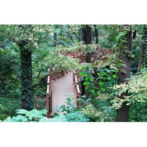 1.2m Insect Resistant WPC Railing Biodegradable Bridge Plastic Handrail Systems