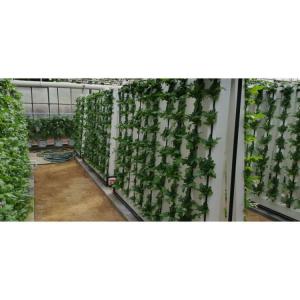 China Indoor Hydroponic Growing Systems Home Zip Vertical Hydroponic System on sale