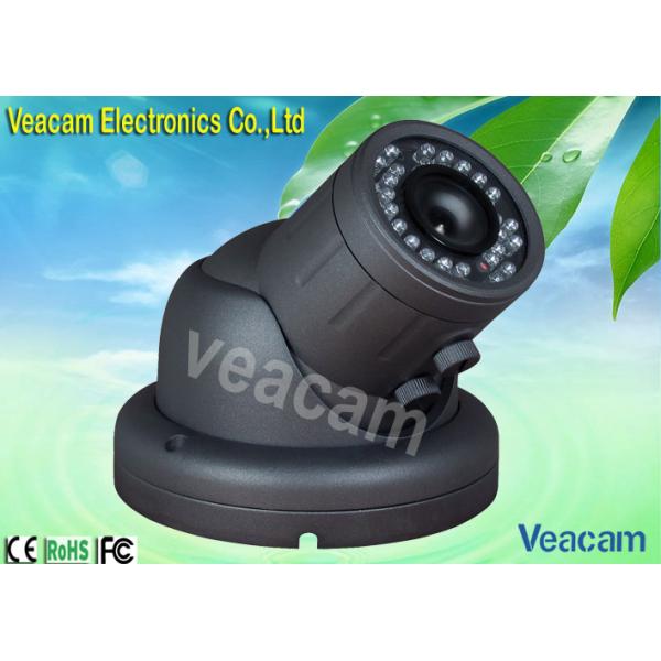 2.8-12mm Optional, 1/4' SHARP CCD Vandal Proof Dome Camera With Auto White