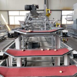 Q235 A Type 4 Tiers 160 Birds Hens Auto System Egg Laying Design Chicken Layers