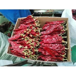 New Crop Sweet Paprika Pepper Pungent 13-18 Cm 220 ASTA