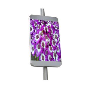 OEM/ODM Dual Screen Kiosk Side / Middle Installing With 2 Years Warranty