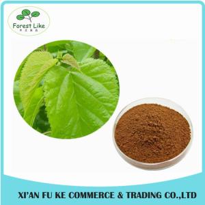 High Quality Mulberry Leaf Extract Powder/Natural Mulberry Extract 1% 1