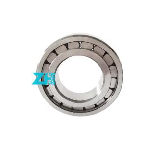 f-202578.rnu full complement cylindrical roller bearings f-202578.01.rnu F