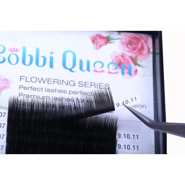 Upgrade 3D Eyelash Extensions Faux Mink Eyelashes Korean PBT Material