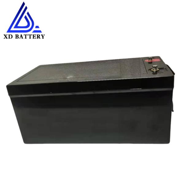 Quality Smart Bms 24v 30ah Lifepo4 Battery 3 Years Warranty Lithium Iron Phosphate Battery wholesale