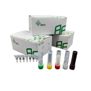 Cheap High Sensitivity RNA Amplification With Improved Detection Isothermal Kit for sale