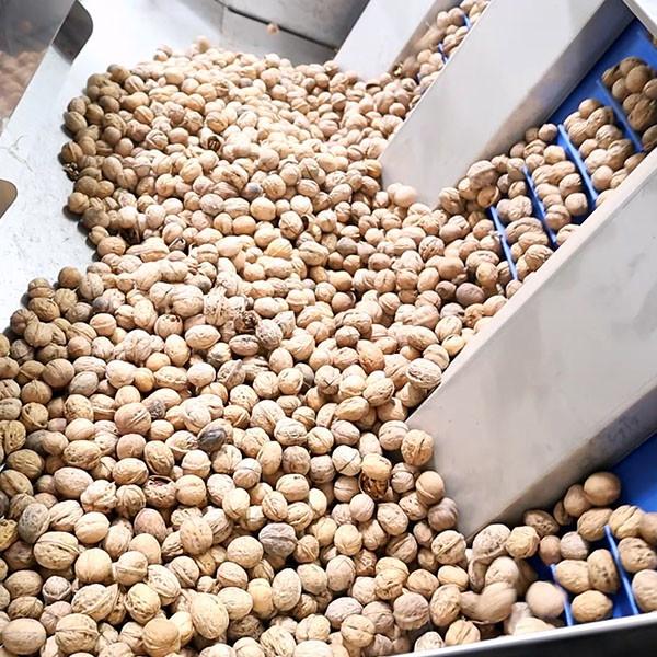 2 Tons Automatic Feeding Walnut Shelling Machine Featured Kernel Shell