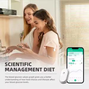 Portable Home Continuous Glucose Monitor Painless Blood Collection With Small
