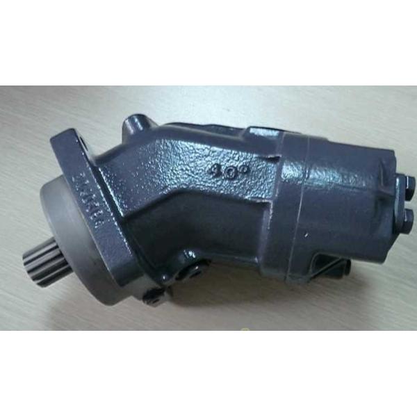 Quality Rexroth Hydraulic Axial Piston Motor A2FM32/61W-VAB010 for Concrete Mixers wholesale