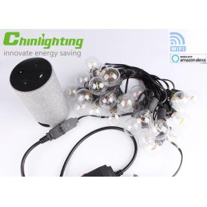 G40 2.4GHZ Wifi Commercial LED String Dimmable Smart Lights