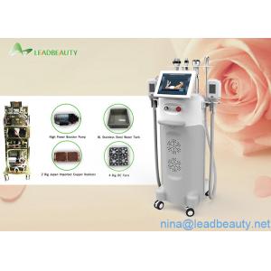 2016anti freeze cryo  machines with 2000W Input Power Multi-functional