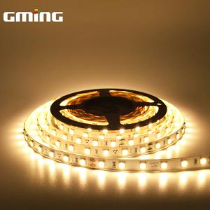 Changeable Color 48leds/m 310lm 11.5W Flexible RGB LED Strip