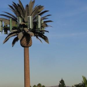 Galvanized GSM Mobile Bionic Palm Tree Antenna Tower Single Pole 5g Tower