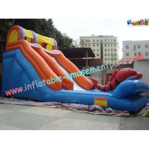 Kids Outdoor Inflatable Water Slides Games with PVC tarpaulin, Reinforced seams