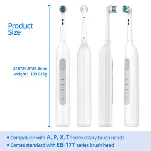 China Medium Bristle Electric Round Head Toothbrush Sonic Spin Toothbrush USB Charging on sale