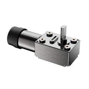 12 Volt Automobile Dc Motor / Worm Gear Electric Motor