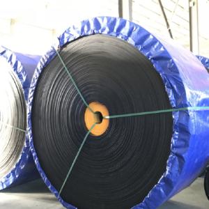 Standard High Elasticity ST1600 Special Conveyor Belts
