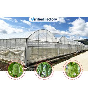 Baolida Custom Automatic System Greenhouse Tropical Hydroponic System Multi-span Seedling Greenhouse