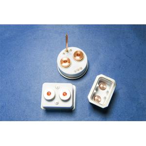 China High Voltage Relay Metallized Alumina Ceramics 3.9g/Cm3 Soldering With Metal Parts on sale