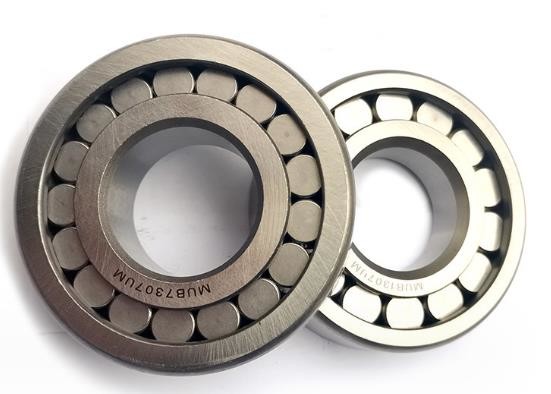 Quality Separable Cylindrical Roller Bearing P4 Precision Practical Double Row wholesale