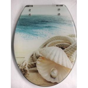 inner paper design tranparent polyresin toilet seat with Zinc alloy hinge