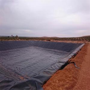 GB/ASTM GRI-GM13 Standard HDPE Geomembrane 0.75mm 1mm 1.5mm for Landfill Liner