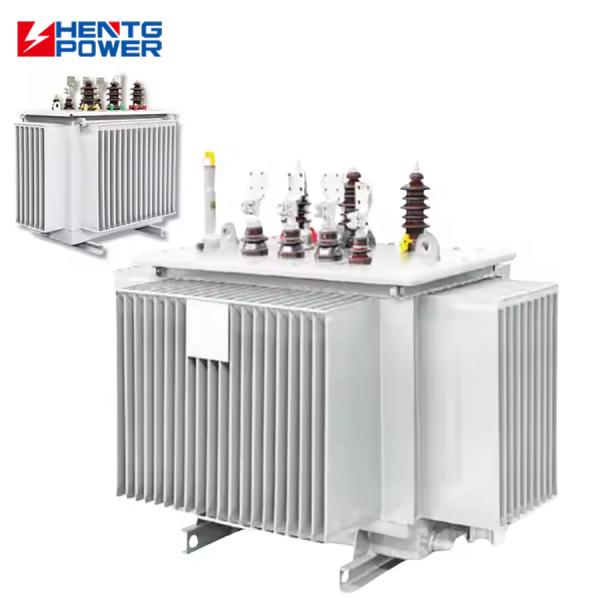 Quality Custom Step Down 22kV Oil Immersed Power Transformer with IP00-IP65 Protection and Layered Winding for Industrial Use wholesale