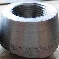 METAL Forged Pipe Fittings Weldolet Class 3000# SCH160 4"X2" UNS S31803
