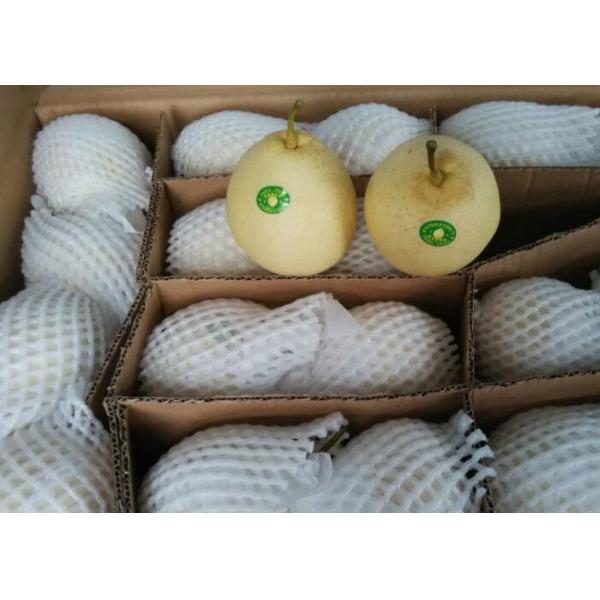 Quality Crisp Chinese White Pear wholesale