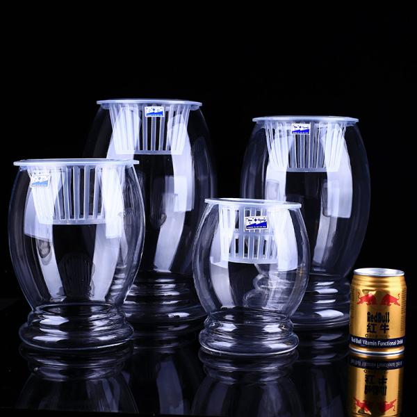Glass hydroponic vase flowerpot transparent dinosaur egg green bamboo bamboo fish aquarium vessel containers